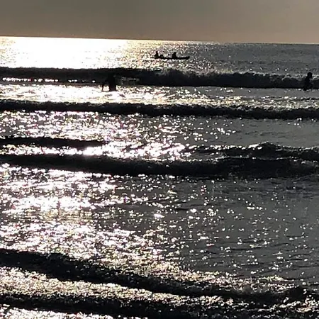 호텔 Mcmunns Of 3*