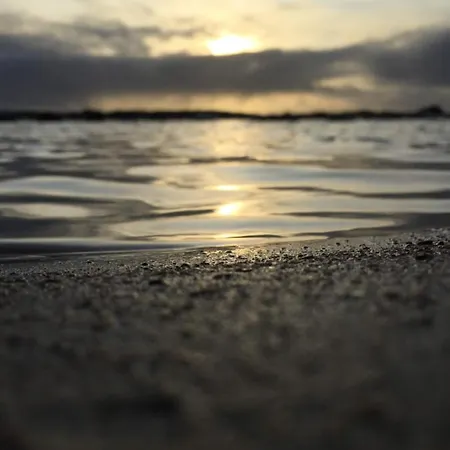 Mcmunns Of 巴利巴宁