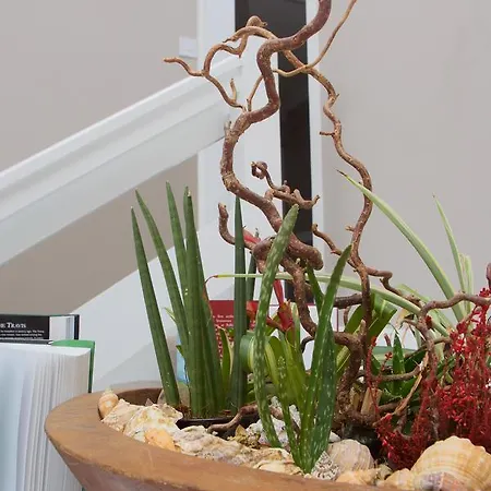 Отель Mcmunns Of